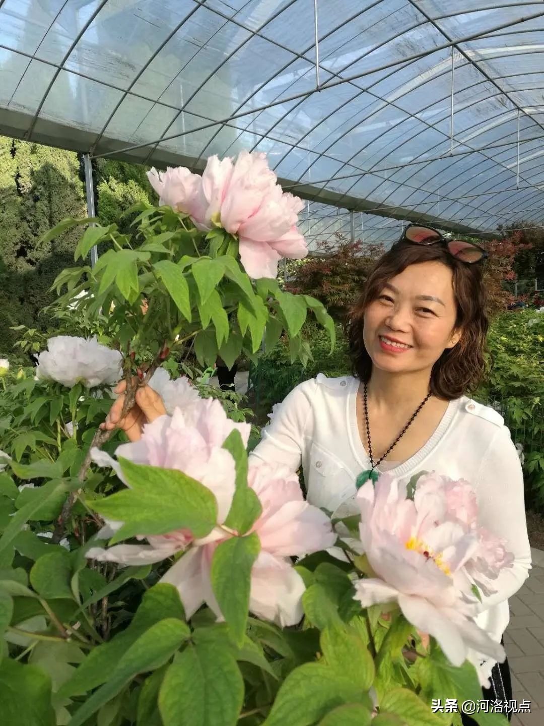 洛阳市实验小学栾川分校校长,洛阳实验小学栾川分校领导