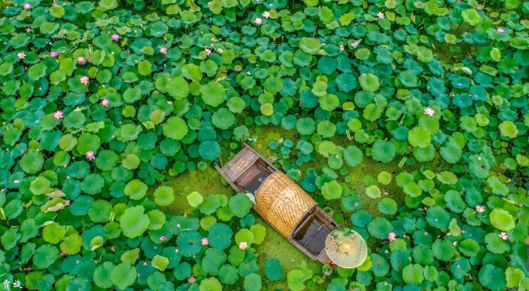 2019年都江堰视频纪录片,2019天府之国都江堰