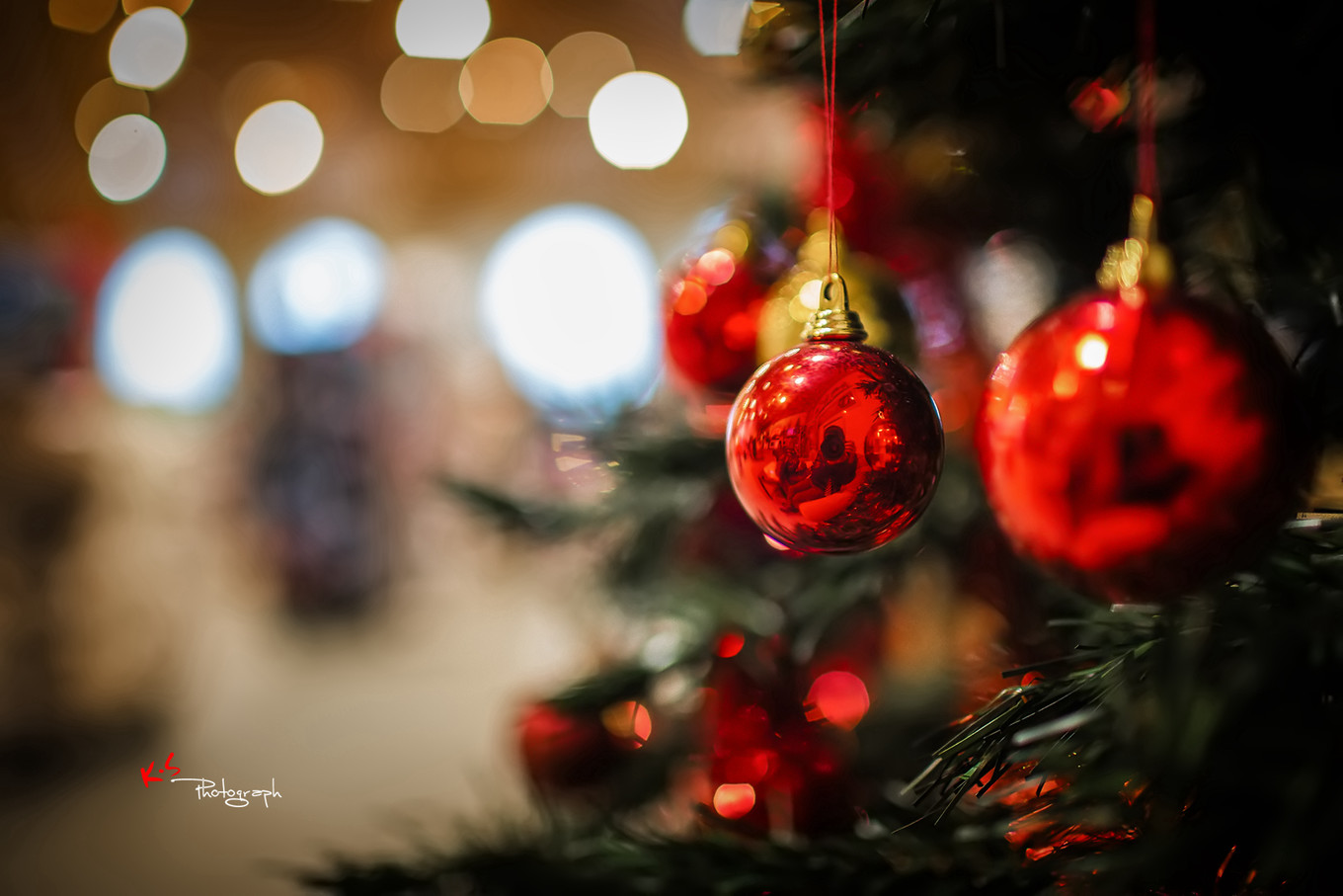 果小姐的日常,果小姐的慢生活