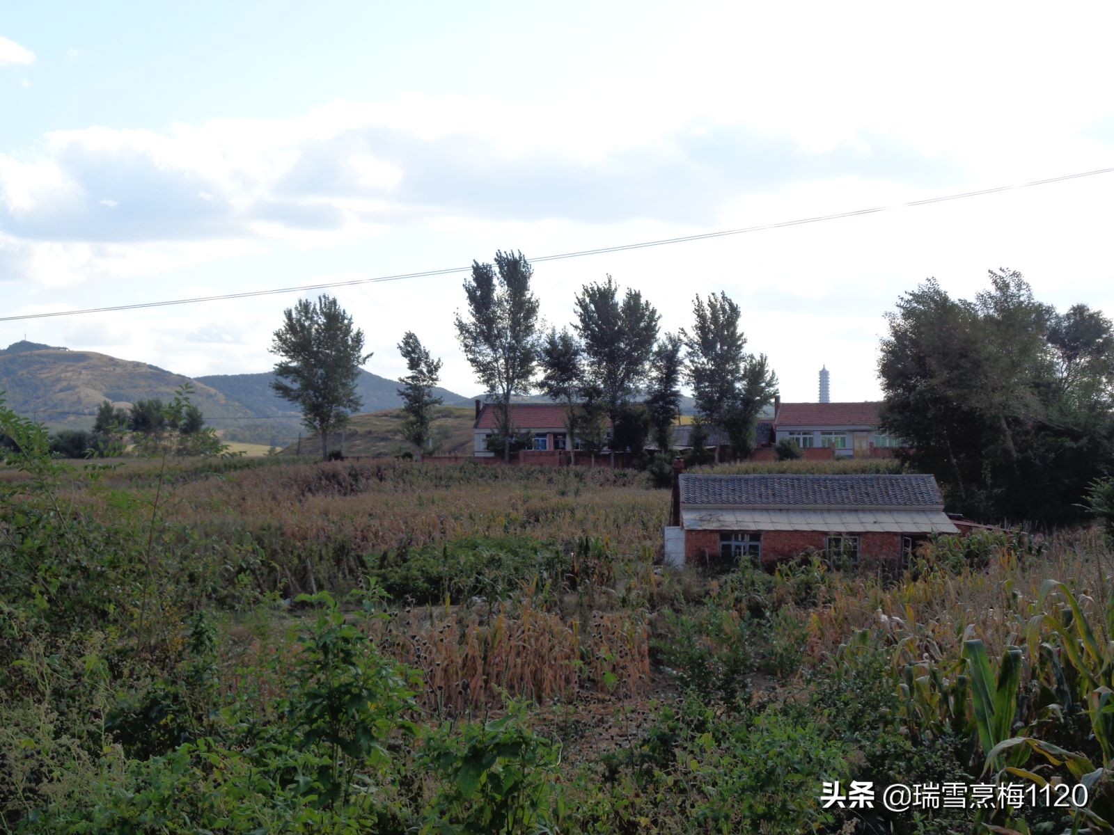 沈北新区依路村,沈北新区马刚乡地图