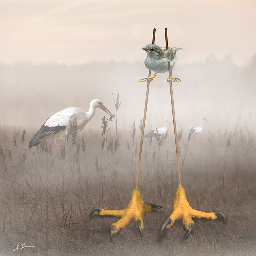 创意ps合成视频大全,ps教程创意合成脑洞大开海报教程