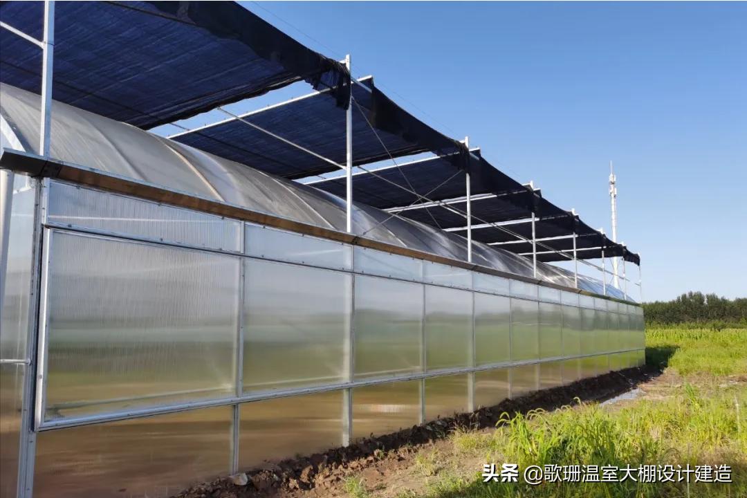 pc透明阳光板温室大棚,连栋阳光板温室大棚的建造