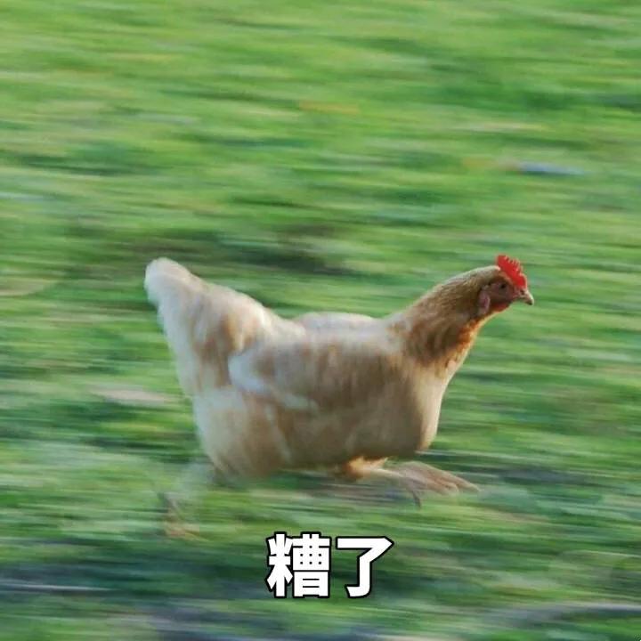 开学逆袭计划 | 平价学生表如何挑选？