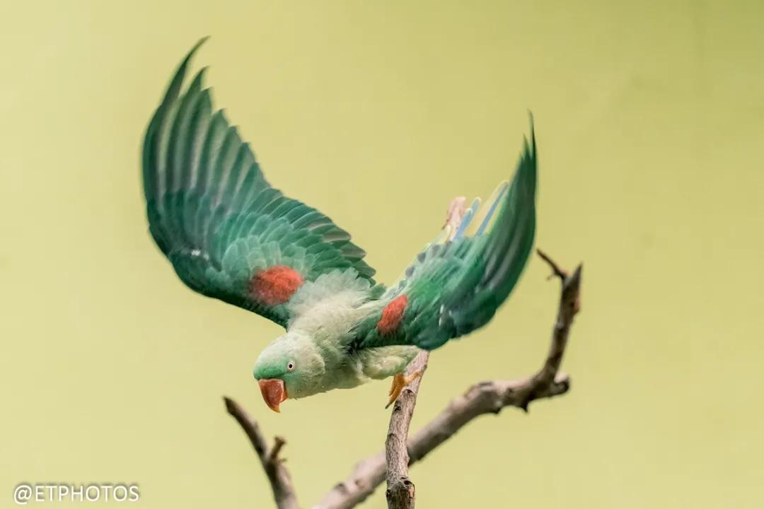 万元内微单相机全画幅,万元以内微单套机推荐