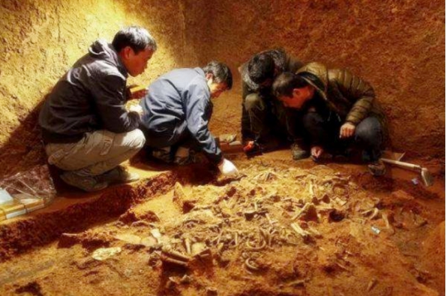 金丝楠木古墓发掘完整视频,古墓出土的金丝楠木