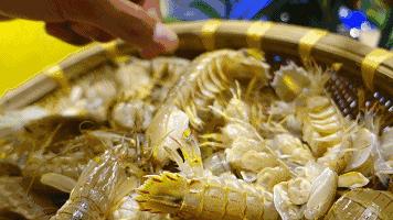 惠州海边旅游攻略最新,一言不合就旅行