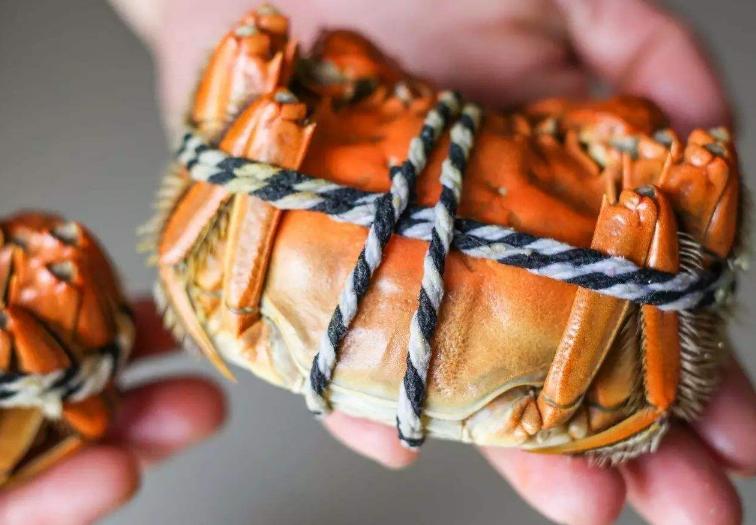 蒸螃蟹用冷水还是热水,蒸螃蟹用水还是热水好