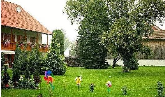 国外的月亮真的比国内好吗,外国的月亮比国内的大