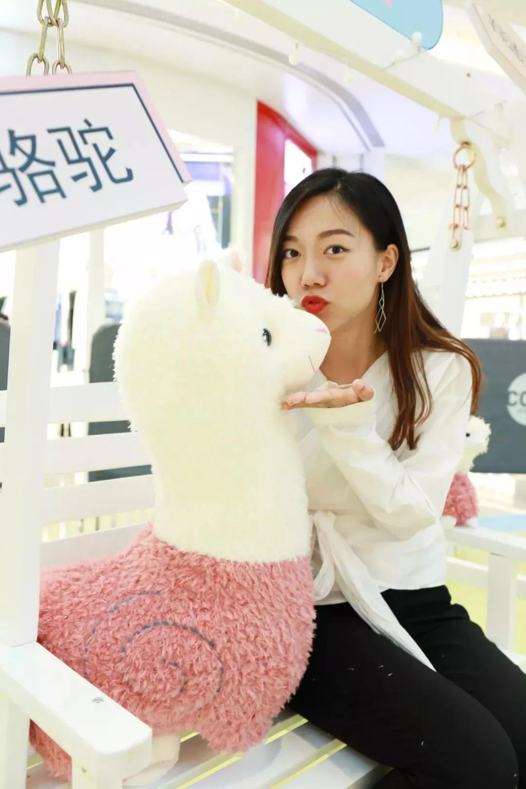 少女心爆炸,千只萌驼空降大坂田,领10000份羊驼潮趣礼品