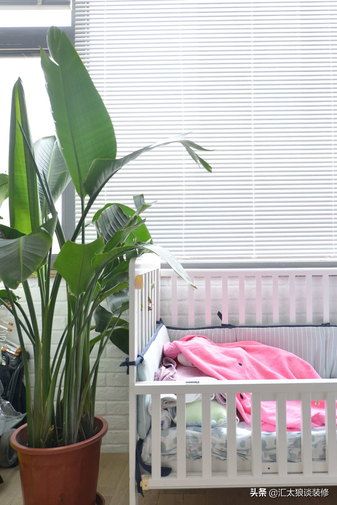 温馨的小窝有爱就有家,自己的小窝有家的感觉真好