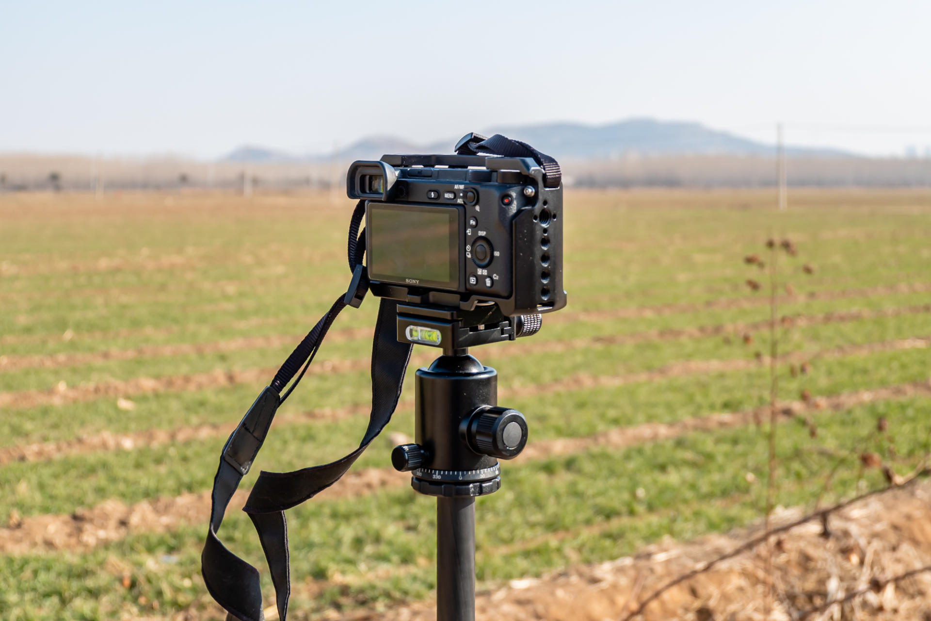 碳纤维三脚架平价推荐,性价比高碳纤维三脚架前十名