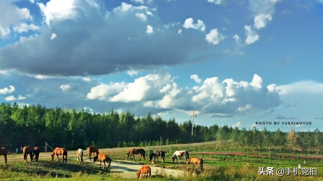 怎么用手机拍出旅游高级感,去哪里旅游能拍民族风写真
