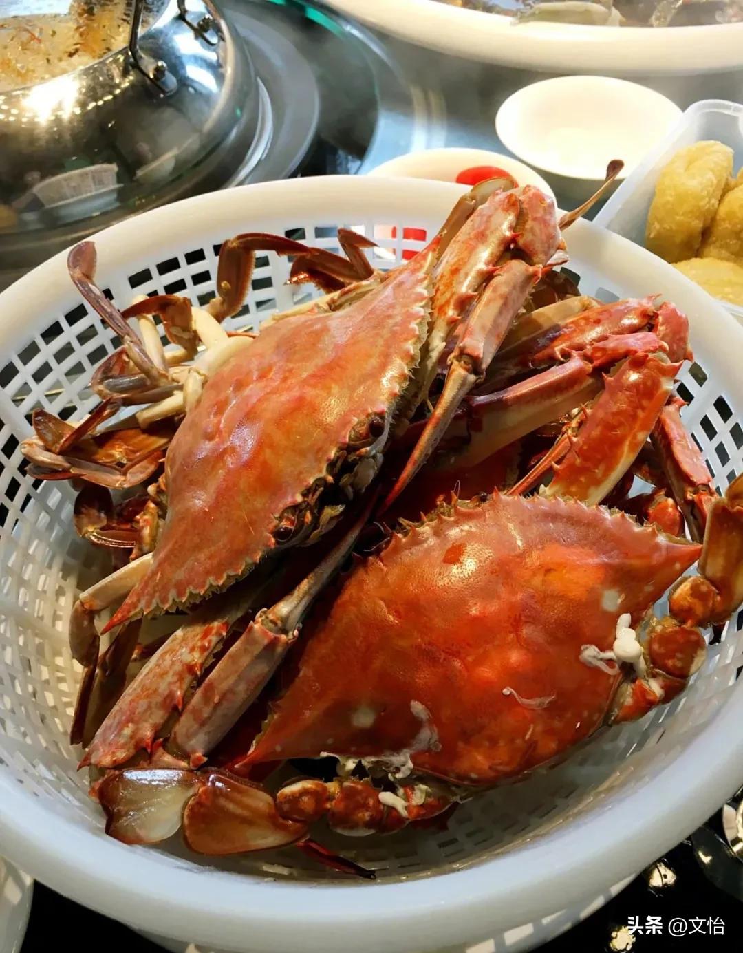 科普河蟹和海蟹的区别,海蟹和河蟹有什么区别在哪里