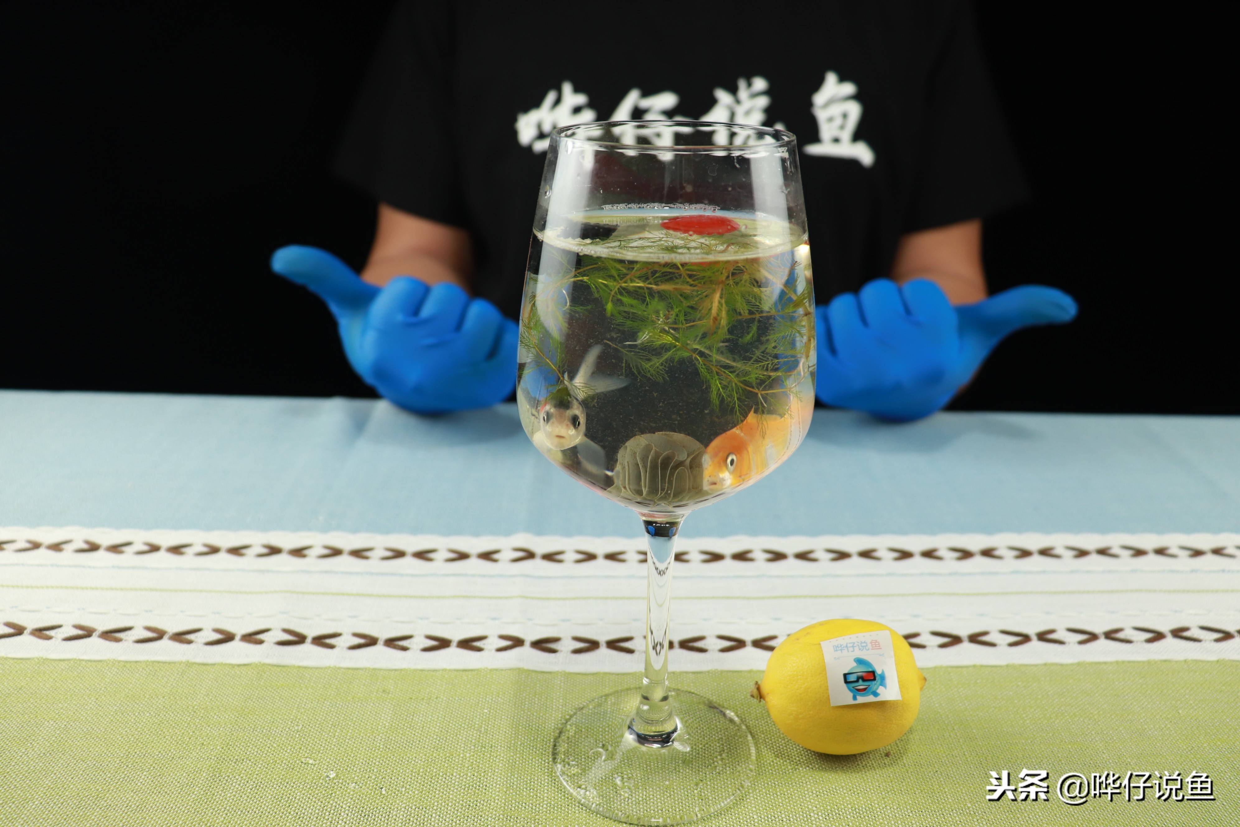 养鱼水浑常用水质清澈剂有害不,养鱼时怎么保持水质清澈