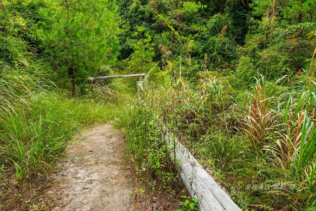 一次平常溯溪，竟意外发现广东最隐秘瀑布野温泉谷