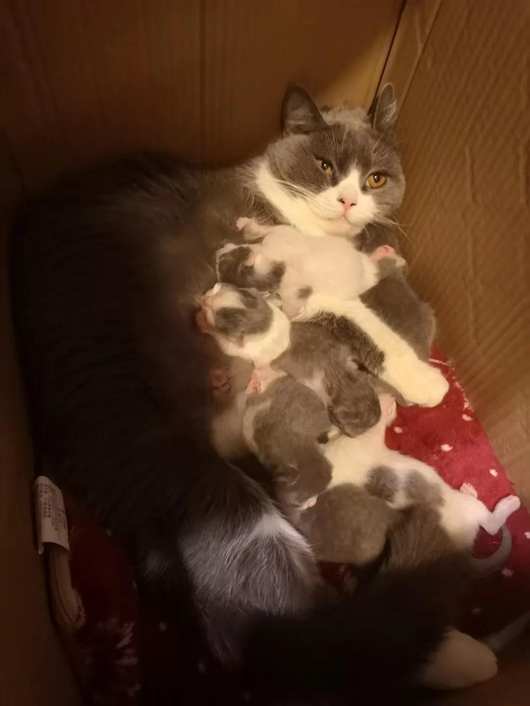 四川吃货攻略大全集,四川正宗土特产干货