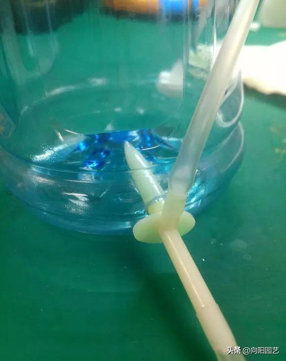 制作简易定时浇水装置,出门一个月的懒人浇水神器制作