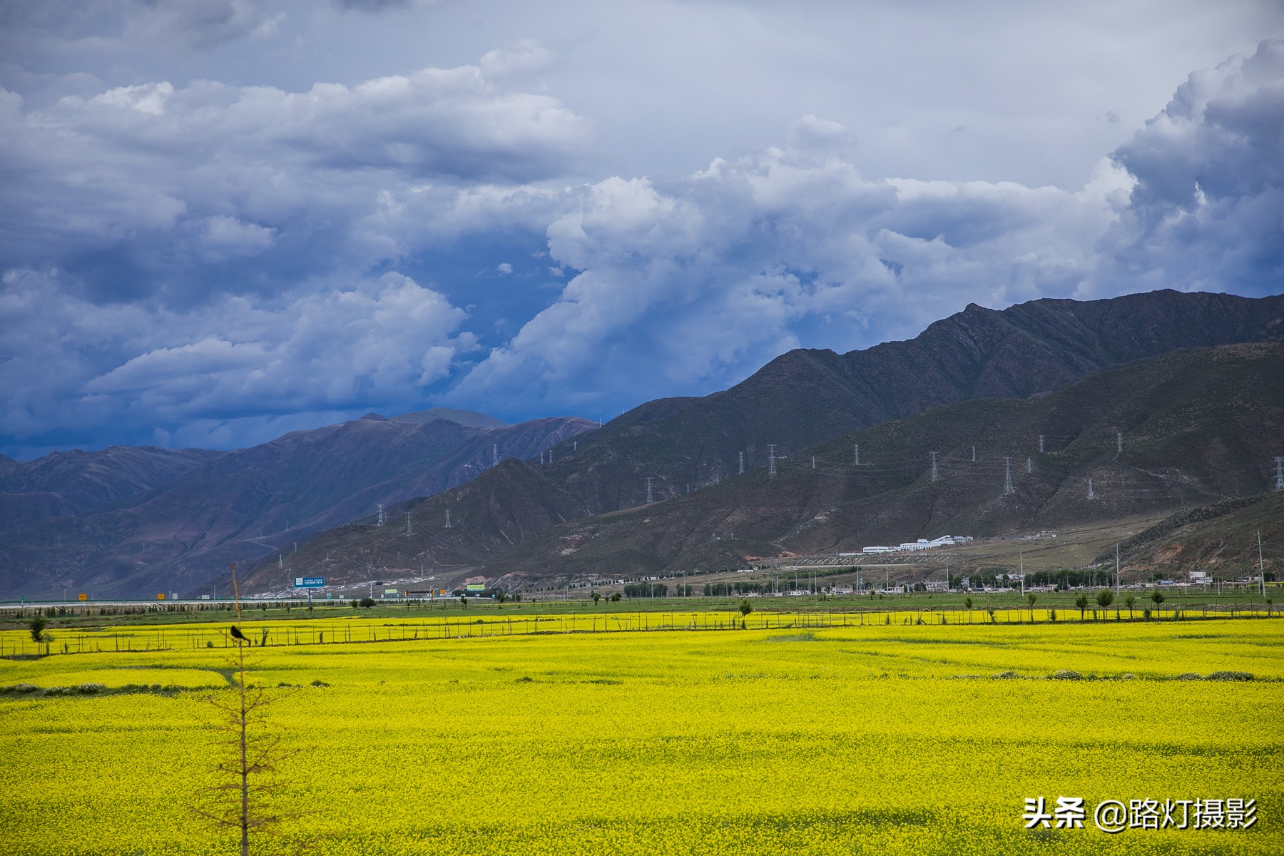 又凉快又好玩的避暑之地,全国最凉快的避暑胜地