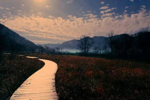 神农架旅游攻略最新,神农架秋天旅游攻略