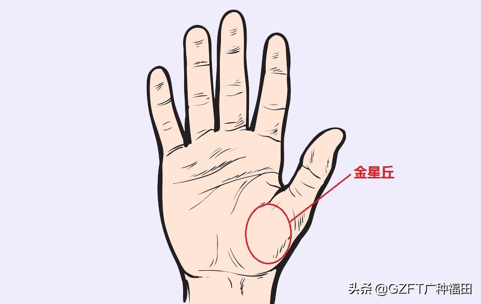 5分钟学会看手相,如何从零开始学会看手相