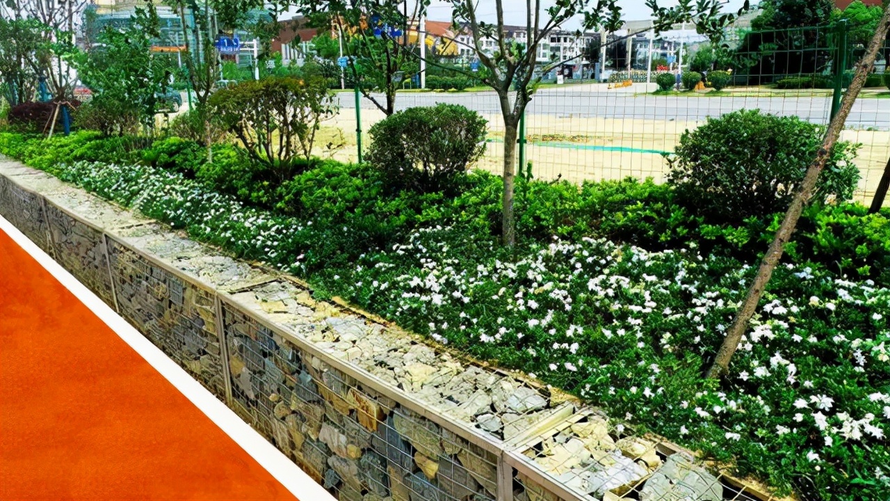 世界文化遗产良渚古城遗址公园,镇江小龙山公园