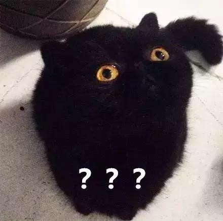 一直都真实存在的流言,一直有人在造谣我自己怎么办