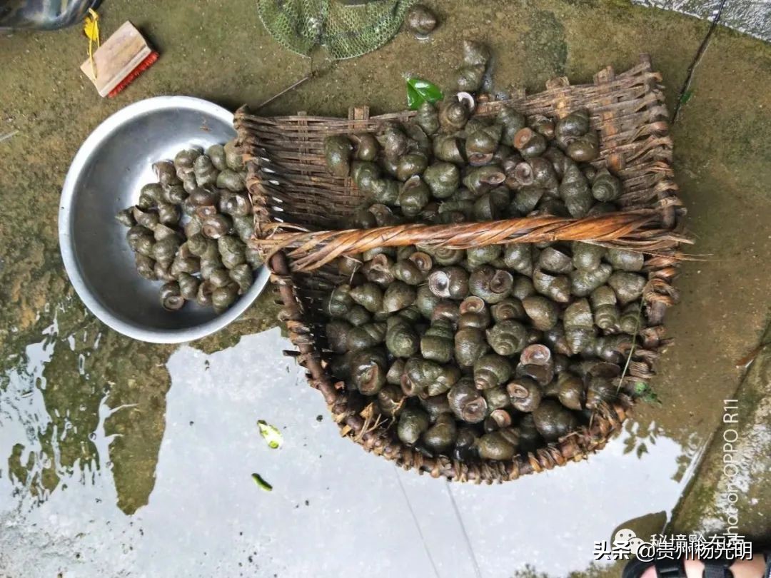 璐靛窞涓栧妗冩簮缇庢櫙,璐靛窞涓栧妗冩簮椋庢櫙