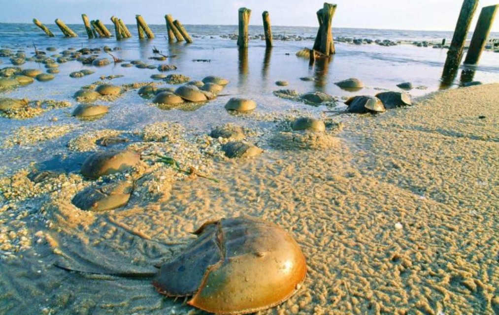 重口味伤肝还是伤肾,重口味伤肝吗