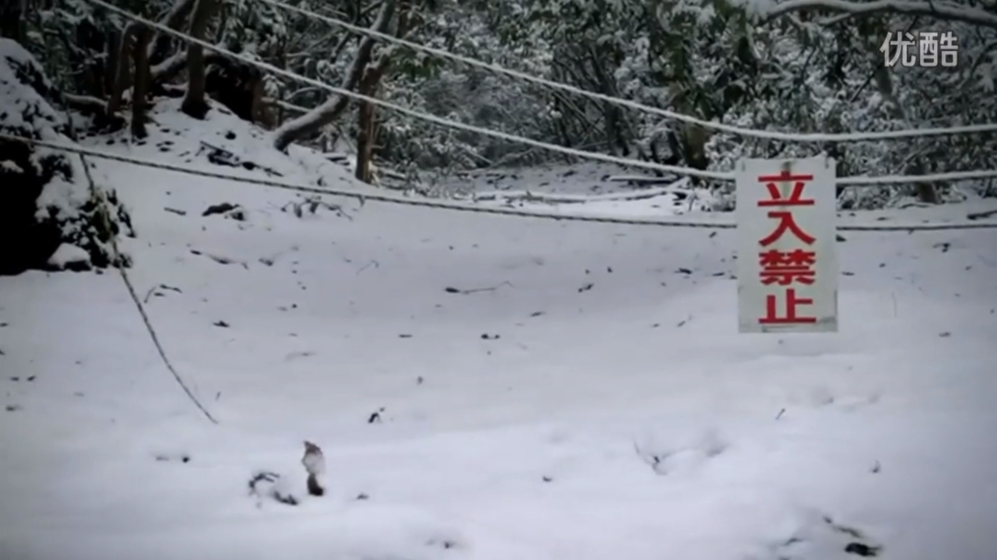 降头术的灵异事件,关于降头术恐怖的故事简短