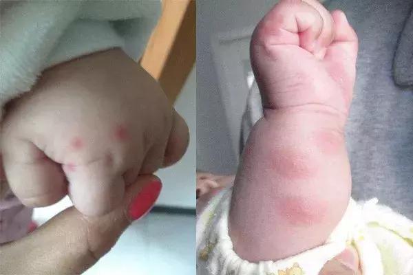 夏天卖到断货的桃子水，连蒋勤勤也疯狂打call