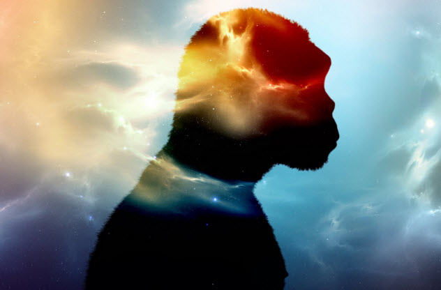 唾液的功效和作用的视频,唾液对人体居然有这九大功能