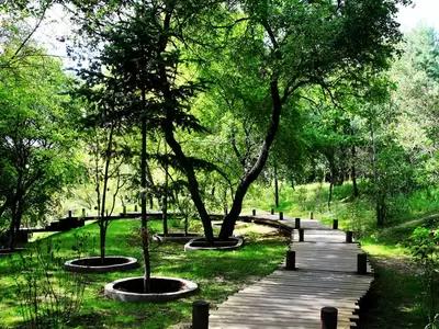 哈尔滨市内环境,哈尔滨一年四季的现状