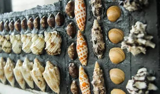 山东大爷捡100万贝壳造楼完整版,山东大爷拿起1000万金砖视频