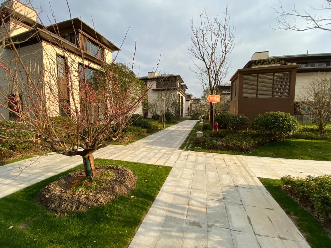 碧云尊邸四房,碧云尊邸联排别墅305平米