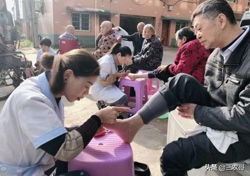 适合农村的家庭致富小项目盘点,农村适合做哪些创业小项目