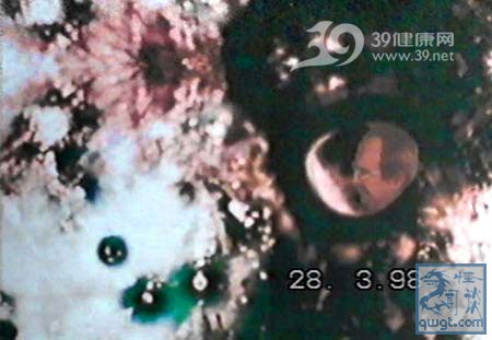 世界上真的有鬼吗专家解释,世界上真的有鬼吗科学证明