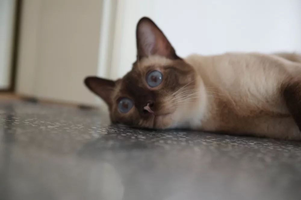 用水泥砌橱柜,用粘土做迷你橱柜