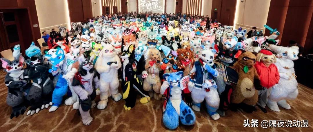 Lo圈、设圈、饭圈、娃圈！我在这里看到00后“摆脱韭菜”的另一面