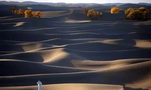 各种相机拍摄技巧视频,单反相机入门教程实用摄影技巧