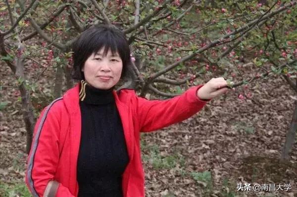 南昌大学附属中学中考喜报,南昌大学附属中学高考升学率