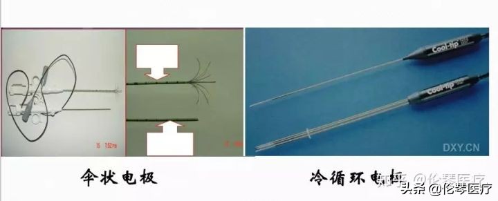 瑞金医院王忠敏,瑞金医院王忠敏简介