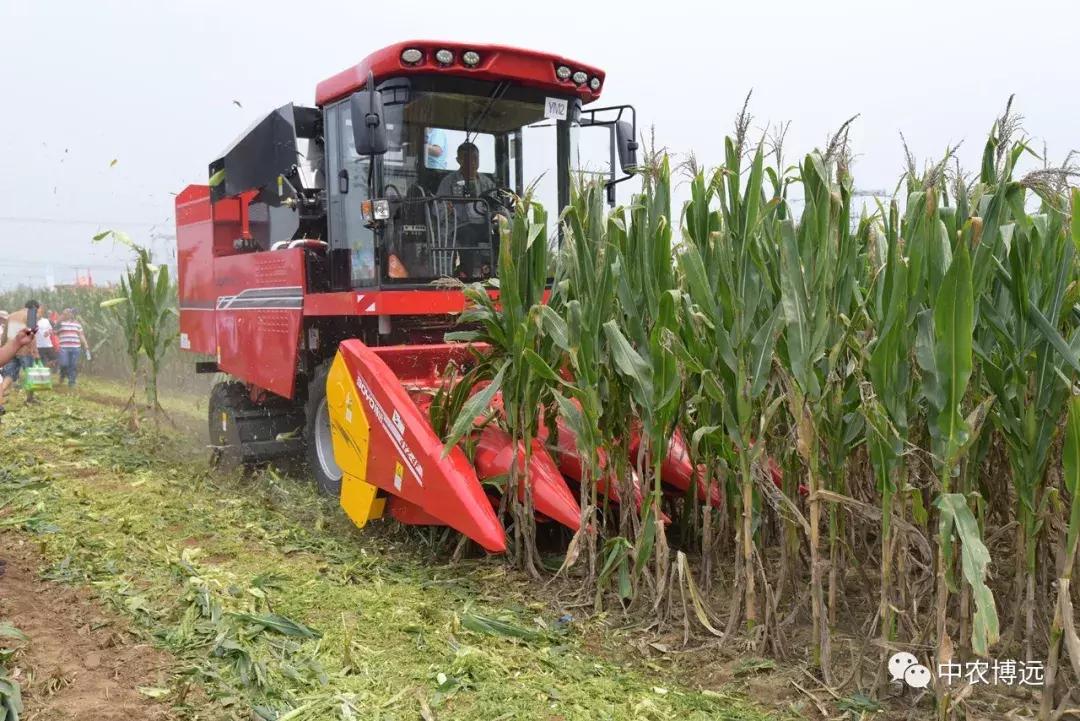 中农博远藁城,中农博远拖拉机