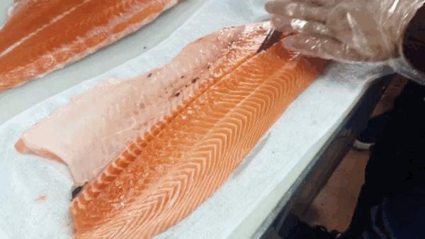 别拦我！古井第四届「肥鱼节」来来来来来啦