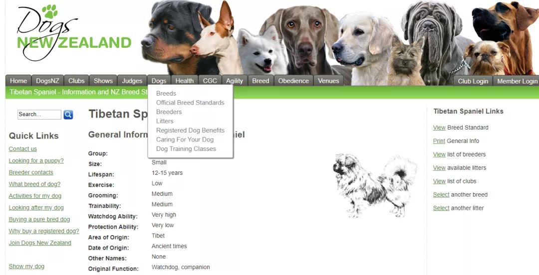 领养狗狗新西兰,新西兰如何养宠物狗狗呢