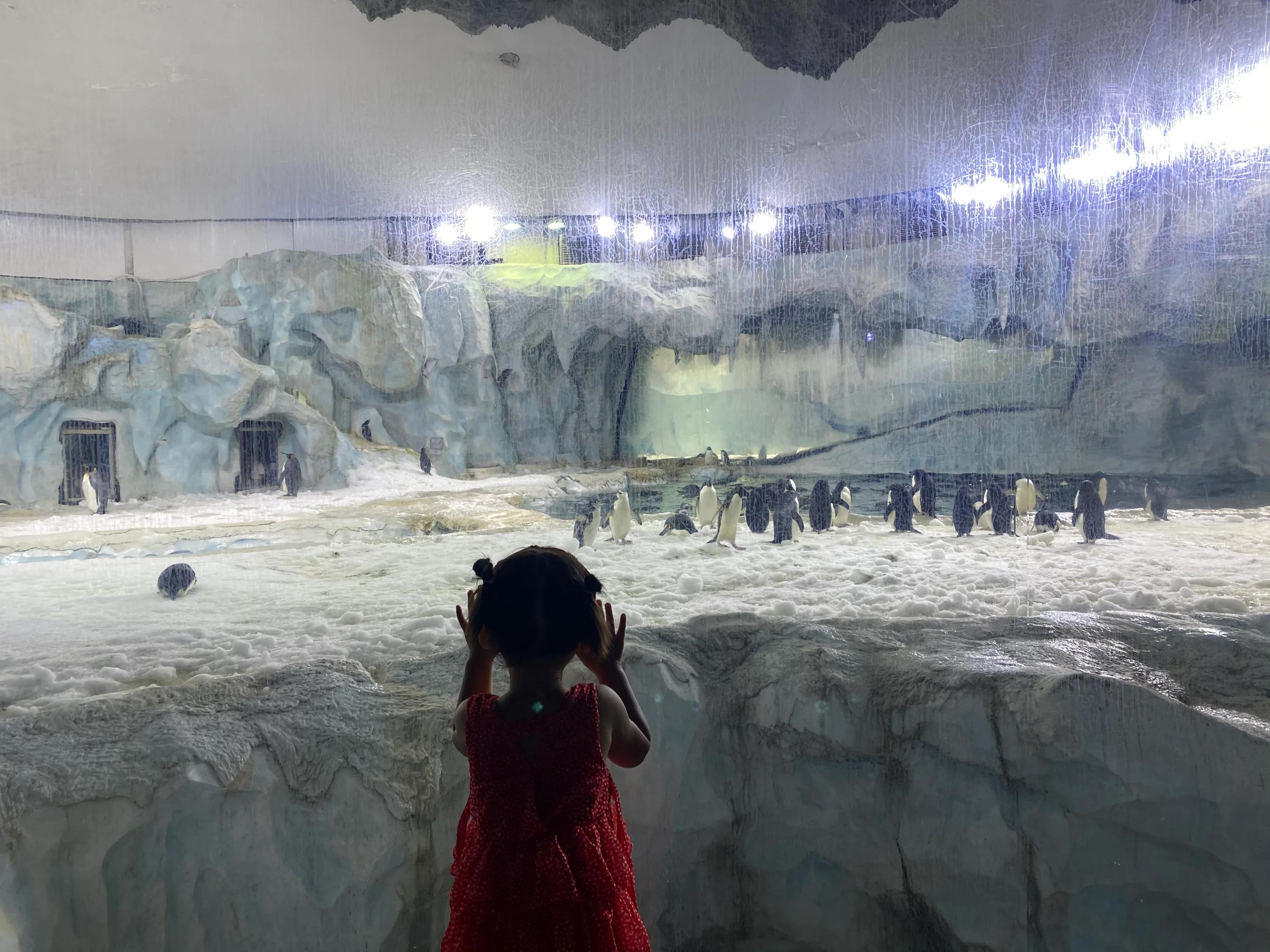 珠海长隆海洋王国攻略时间表,珠海长隆海洋王国攻略图