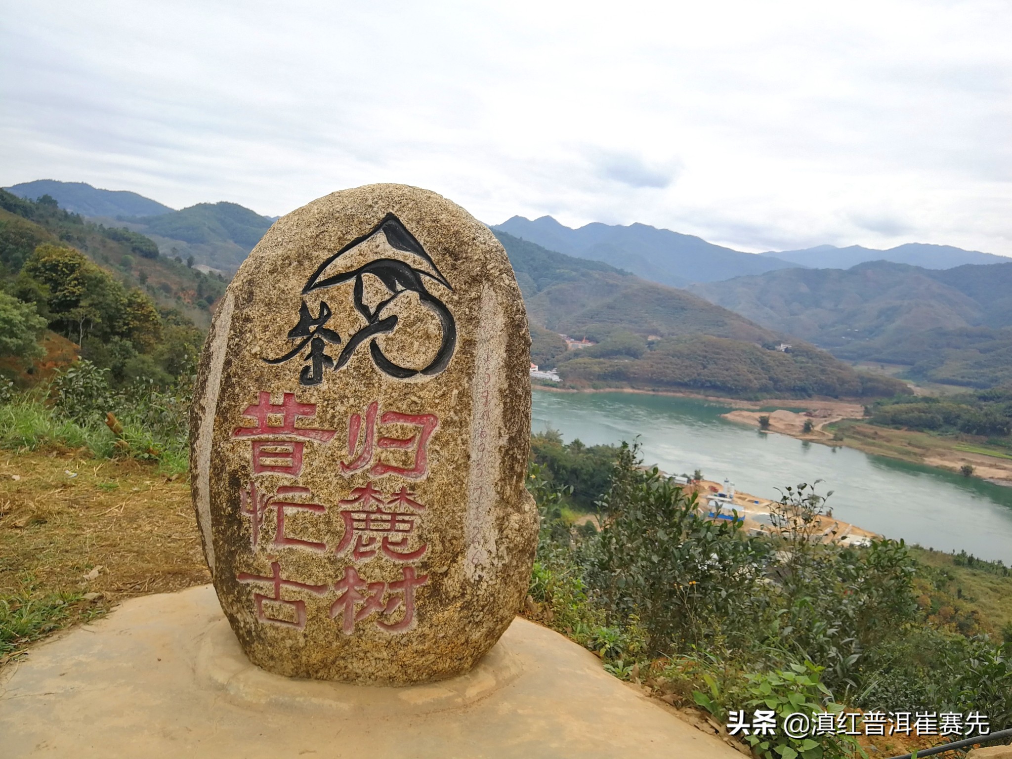 六大茶山号级普洱茶评测,昔归茶山行普洱茶