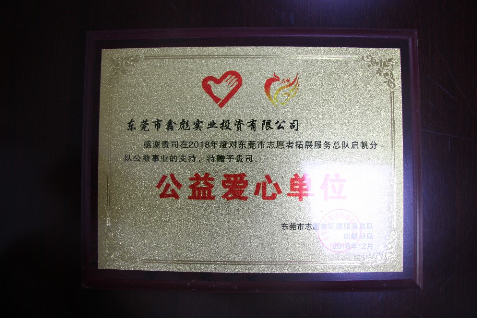 秀外慧中霞之大者东莞市鑫彪实业投资有限公司总经理程秀霞