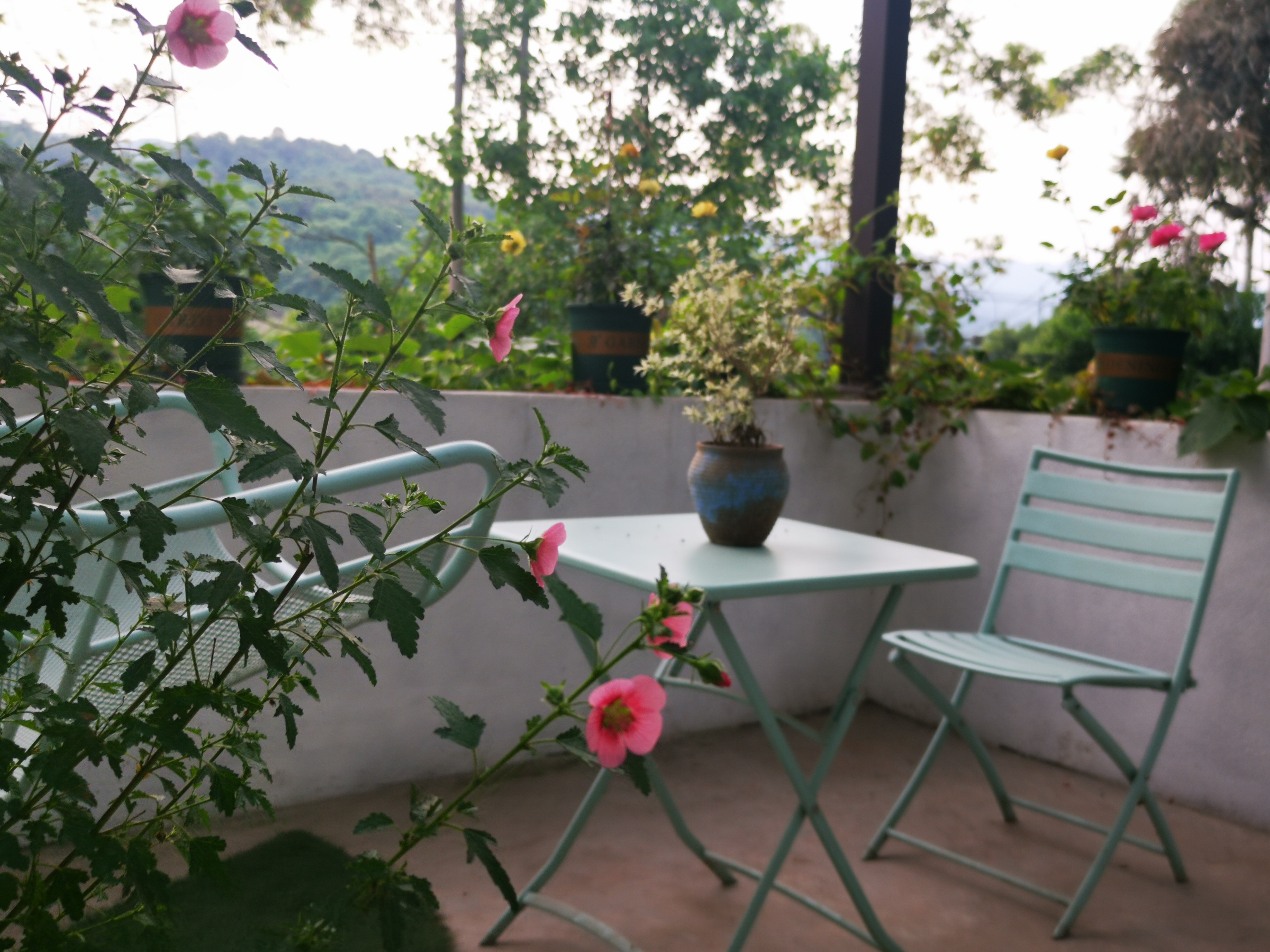 重庆落日下午茶推荐,重庆下午茶推荐观音桥