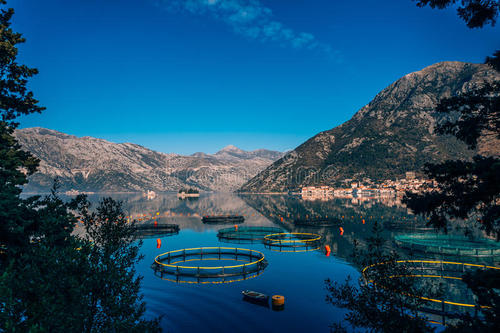 《黄金渔场》小说阅读,黄金渔场小说精品