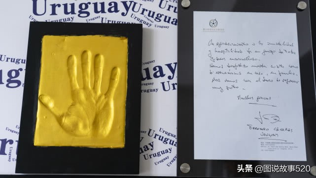 探秘国内首家足球酒店，满眼是足球，美食“跑鞋”装